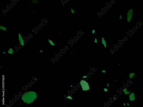 Beautiful abstract color yellow and green marble on black background and gray and green granite tiles floor on green background, love gray wood banners graphics, art mosaic decoration