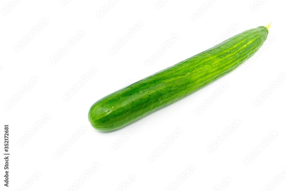Frische und Reife Salatgurke Frische und Reife Salatgurke