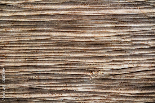saw cut wood macro texture for background