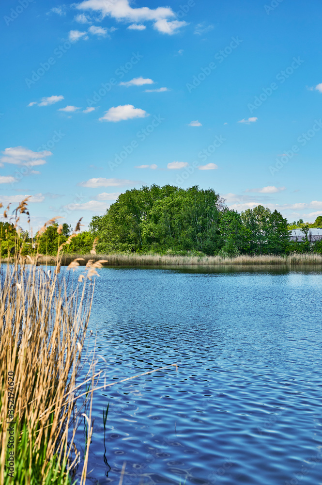 Naklejka premium Blue and cloudy sky over a lake in the near of Sperenberg, Germany. The focus lies on the trees in the background.