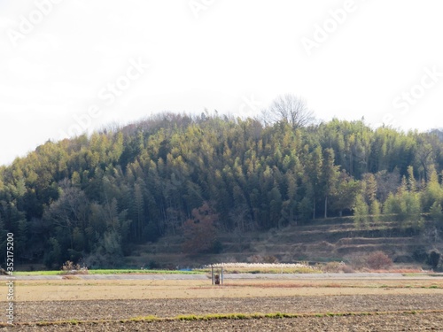 日本の田舎の風景　12月　冬の田んぼ © 史恵 堤