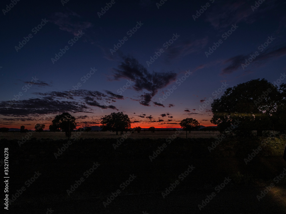 custom made wallpaper toronto digitalATARDECER