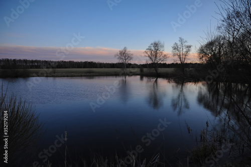 Trees on the shore of the pond at sunset against the blue sky