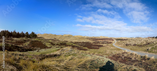 Amrum Northern Germany dune landscape with wooden footpaths  poster panoramic view