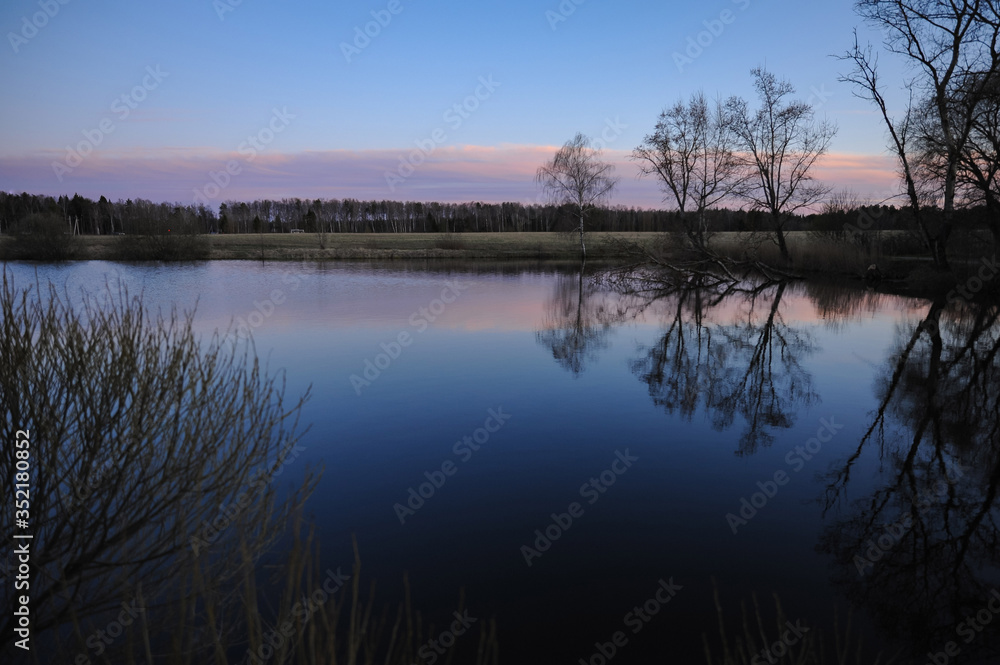 Trees on the shore of the pond at sunset against the blue sky
