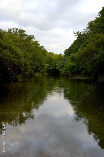 river landscape with green vegetation and cloudy sky