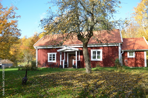 Autumn and a old Cottage