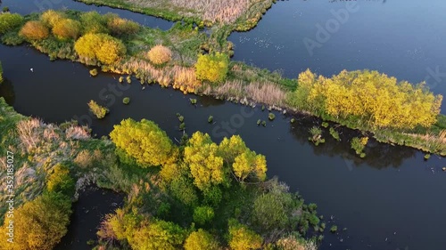 Beautiful aerial view on small rural rivers and forest trees from above, summer water landscape in sunset light
