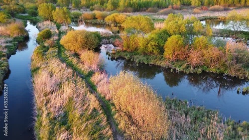 Beautiful aerial view on small rural rivers and forest trees from above, summer water landscape in sunset light