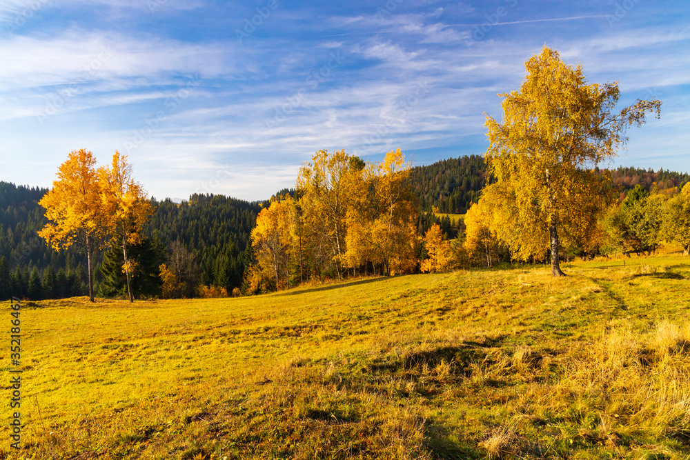 autumn landscape near saddle Beskyd in Slovakia