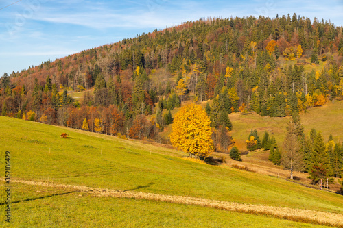 autumn landscape near saddle Beskyd in Slovakia photo