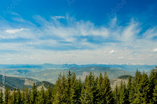 Magnificent panoramic view the coniferous forest on the mighty Carpathians Mountains and beautiful blue sky background. Beauty of wild virgin Ukrainian nature. Peacefulness. 