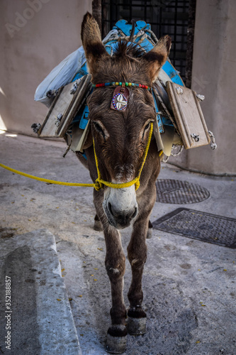 Fotografie Santorini Island in Greece