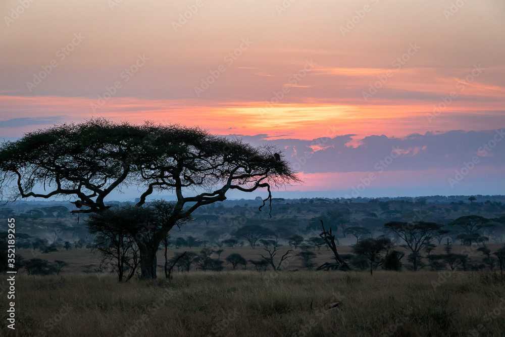 タンザニア・セレンゲティ国立公園の、朝焼けと広大な空
