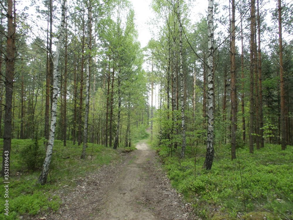 Fototapeta premium Cyfrowy aparat fotograficzny KODAK