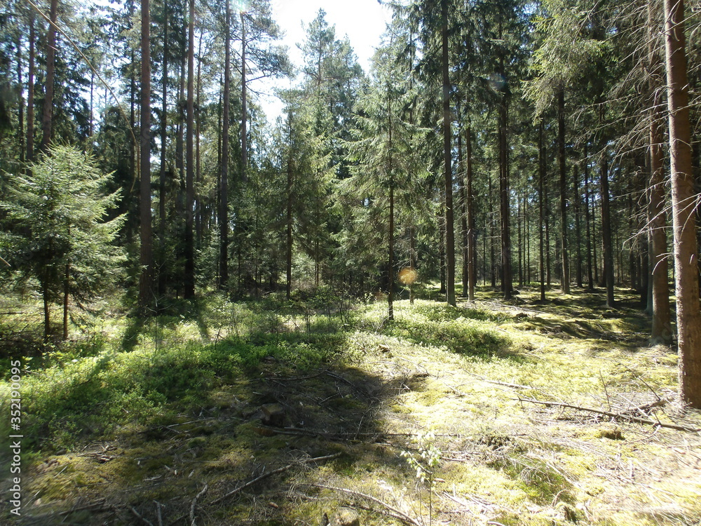 Fototapeta premium KODAK Digital Still Camera