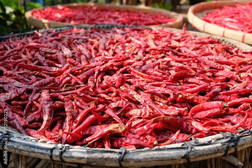 Fototapeta premium red hot dry chili peppers
