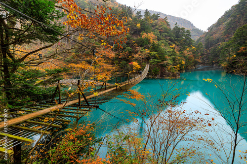 wooden bridge suspension over green river in natural forest autumn season japan .