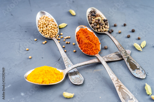 A set of spices and herbs. Indian cuisine. 
