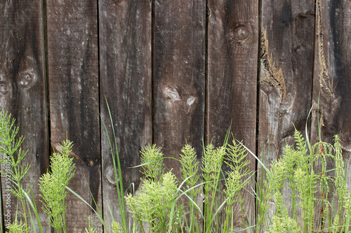 Fototapeta Naklejka Na Ścianę i Meble -  Background rustic wooden board fence with green grass at the bottom photo