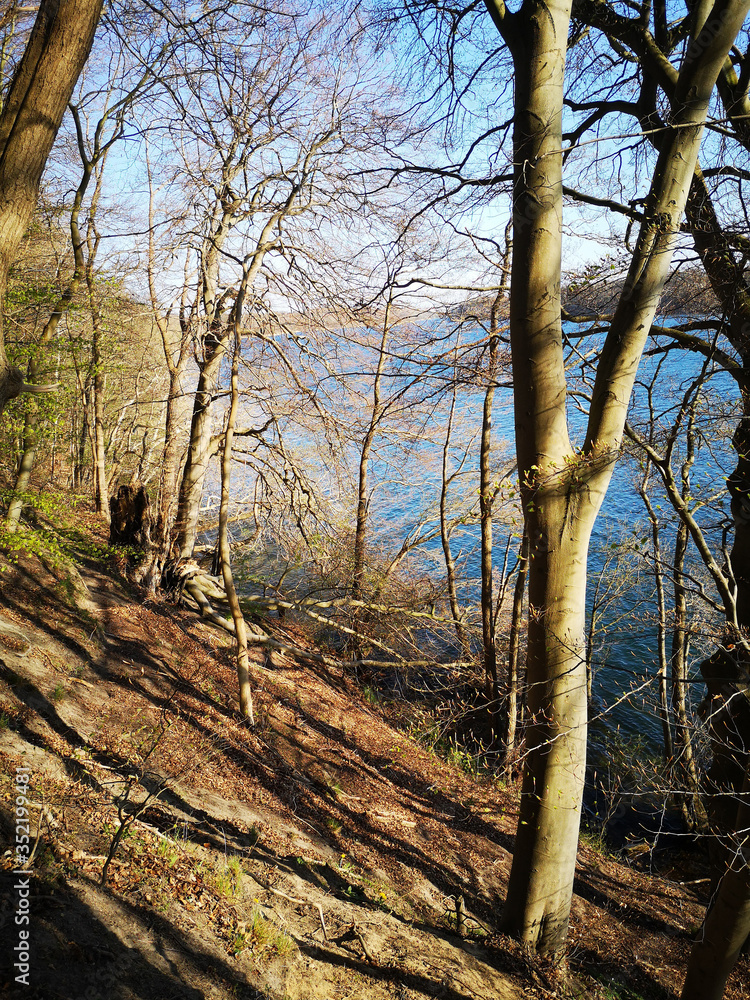 Impression of nature