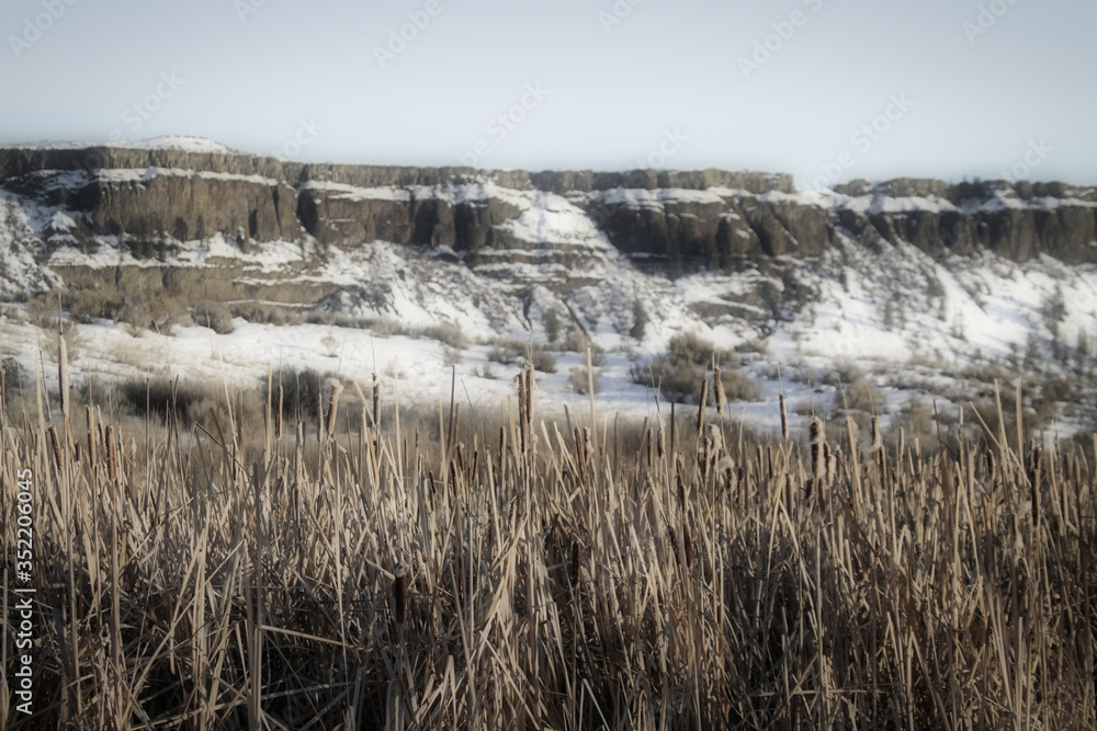 Winter in the Grand Coulee.