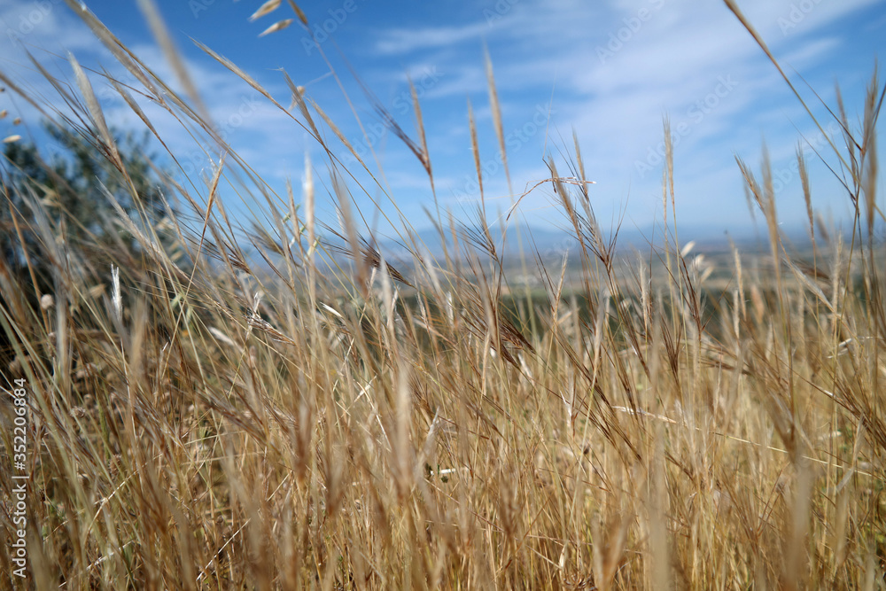 Obraz premium Paesaggio