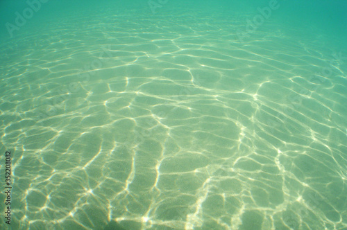  images of the world under the sea, in the caribbean sea