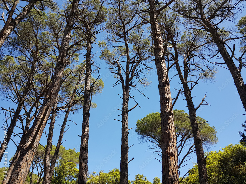 Fototapeta premium Paesaggio
