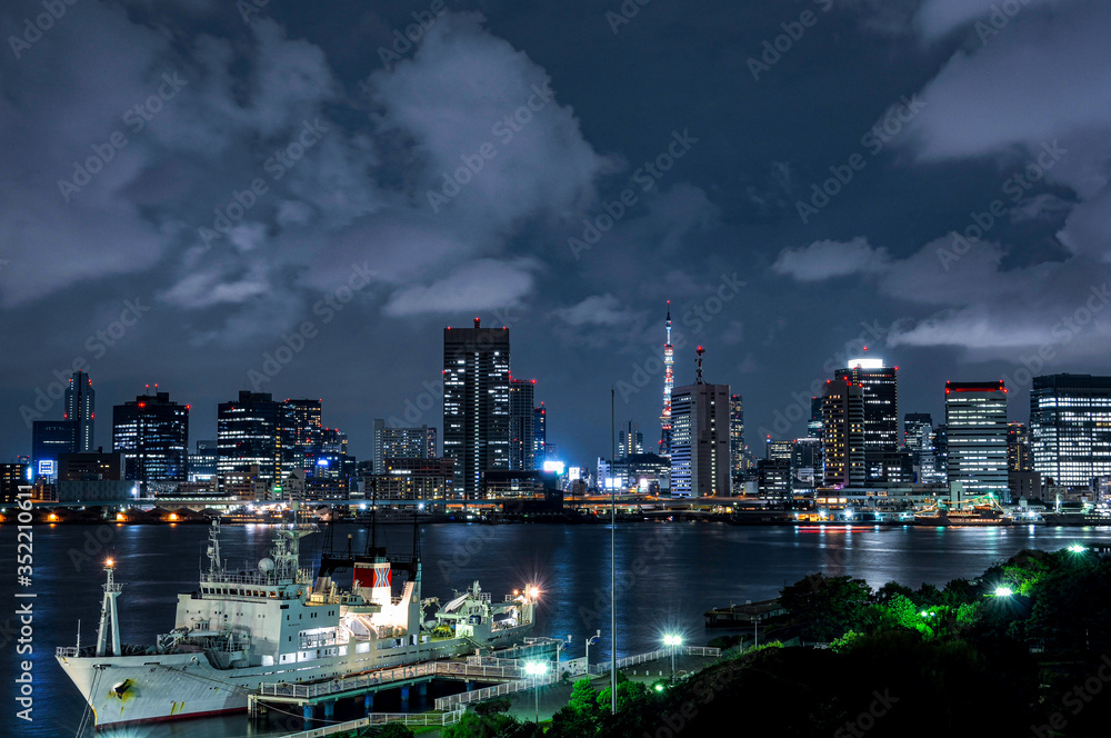 Fototapeta premium 昔の晴海埠頭 2013