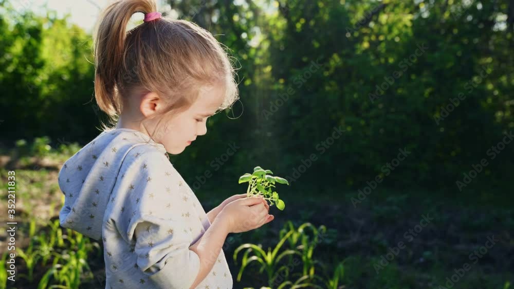 Little girl holding in hands green young plant. little farmer. gardening. Little girl holding in hands green young plant. little farmer. gardening.