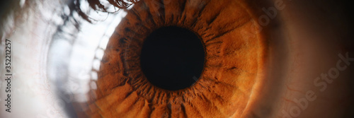 Close-up human eye, lens, cornea and brown iris. photo