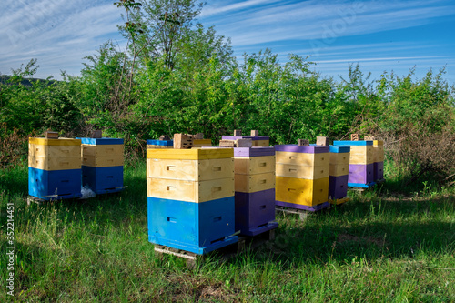 Eco-friendly apiary. An apiary where ecologically clean honey and other beekeeping products are obtained. Advantages of polyurethane hives. Top views. © kosolovskyy