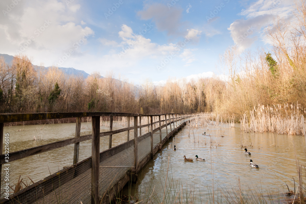 Naklejka premium Old wood footbridge on lagoon, rural landscape