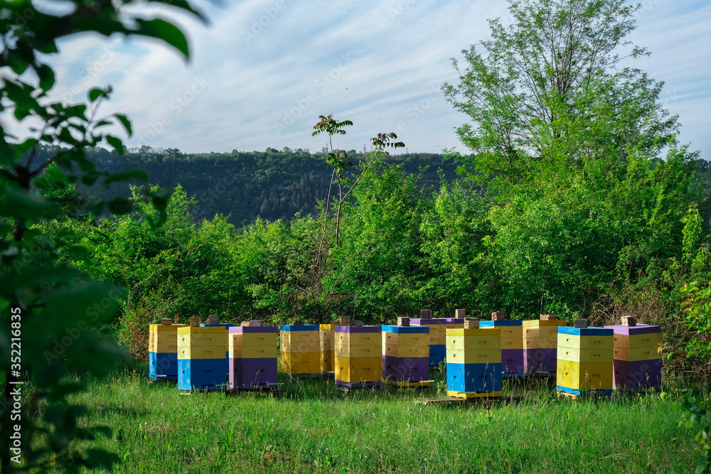 Eco-friendly apiary. An apiary where ecologically clean honey and other beekeeping products are obtained. Advantages of polyurethane hives. Top views.
