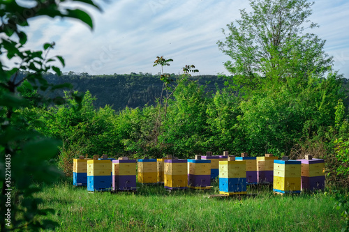 Eco-friendly apiary. An apiary where ecologically clean honey and other beekeeping products are obtained. Advantages of polyurethane hives. Top views.