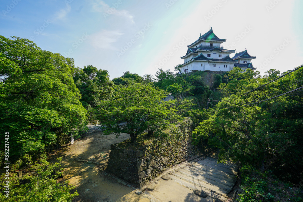 日本100名城・和歌山城の新緑