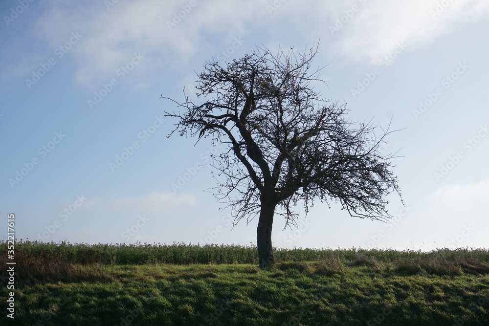 Winterliche Landschaft Winterliche Landschaft