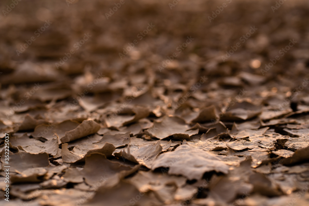 Cracked soil landscape texture on ground earth with natural light sunset of the sun with dramatic yellow and orange sky. Image depth of field. Cracked soil landscape texture on ground earth with natural light sunset of the sun with dramatic yellow and orange sky. Image depth of field.
