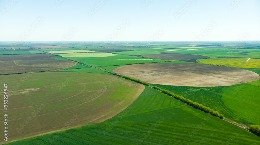 Agriculture aerial view green and yellow fields from above aerial view
