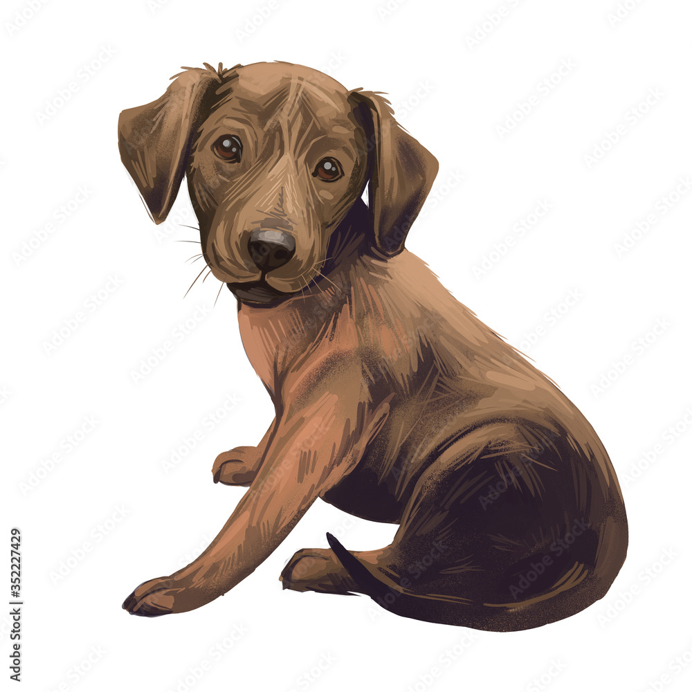 Treeing cur dog isolated digital art illustration. Hand drawn dog