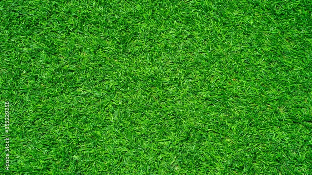 zoom in shot green grass background