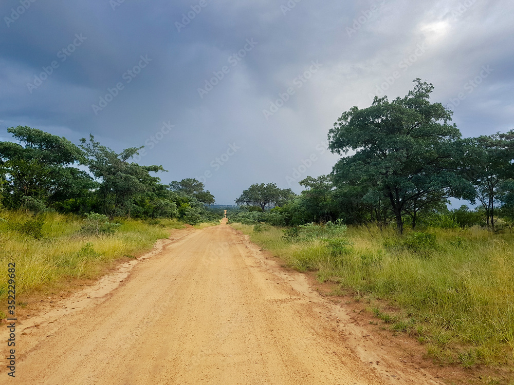 Dirt road leading nowhere during the day in the Kruger National Park in Mpumalanga in South Africa