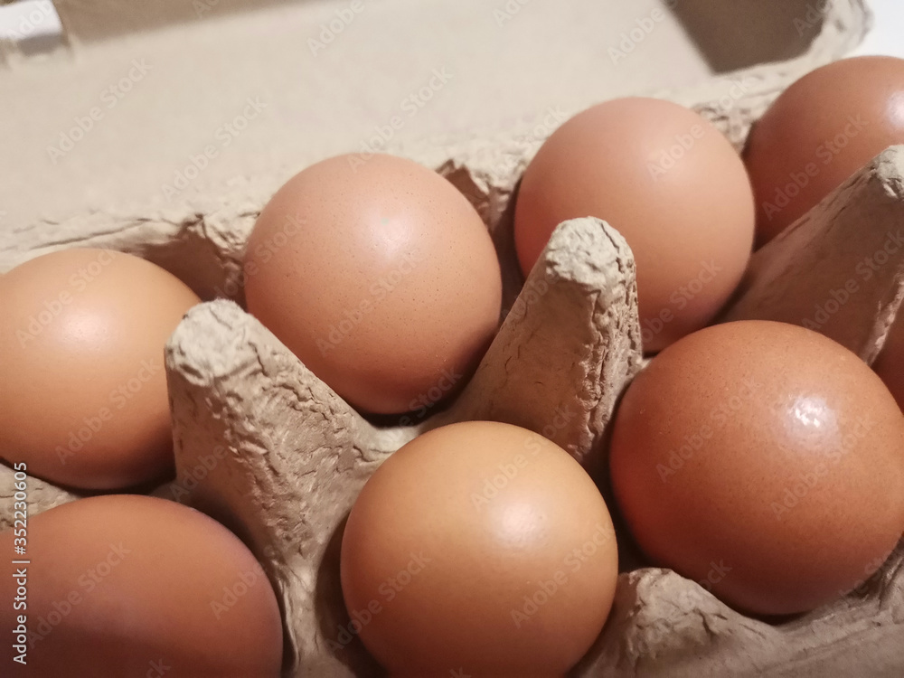 Close-up view of raw chicken eggs in egg box Close-up view of raw chicken eggs in egg box