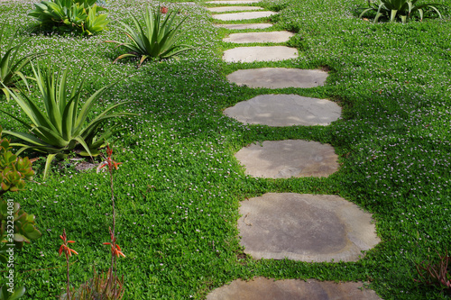 Flagstone garden path through green ground cover and aloe plants