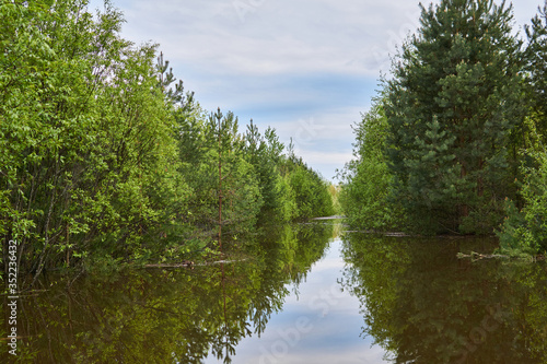 forest river overflowed in spring