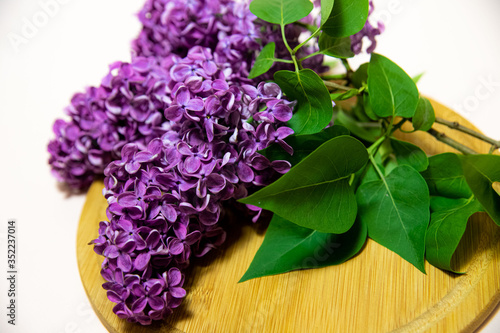 lilac branch on a round plank background