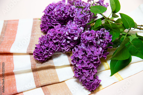 
lilac branch with green leaves on the tablecloth
