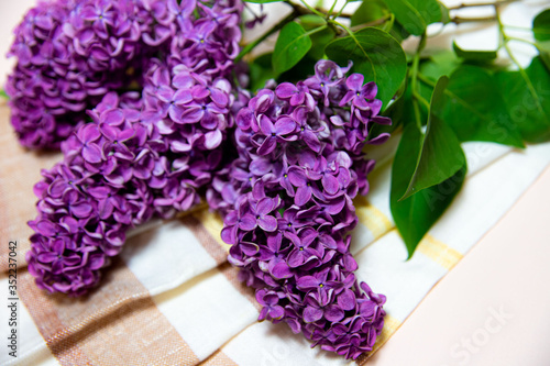 
large branch of lilac with green leaves on a striped tablecloth