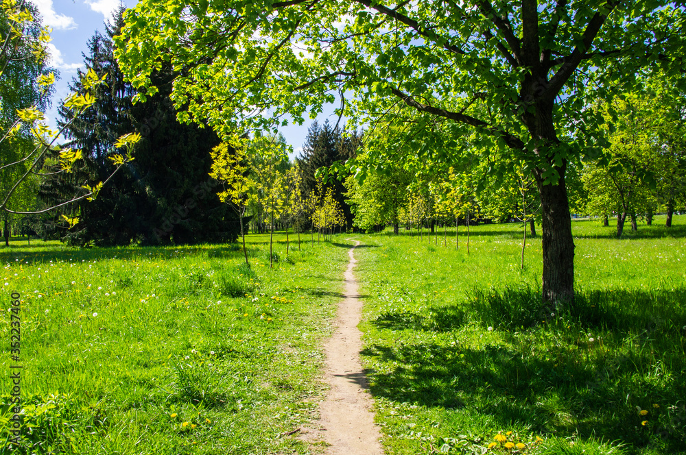 Summer bright beautiful park without people. Green trees and grass Summer bright beautiful park without people. Green trees and grass